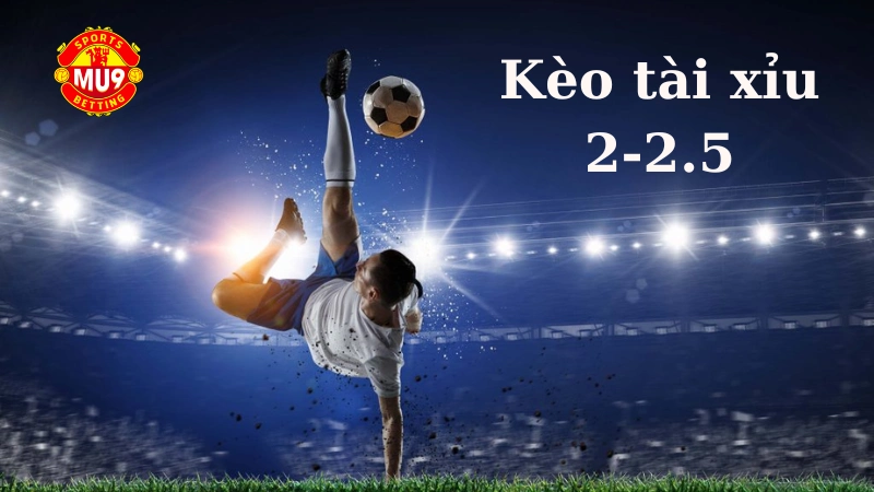 Kèo tài xỉu 2-2.5 là gì? Luật và mẹo chơi hiểu quả cho bet thủ tại Mu9 Kèo tài xỉu 2-2.5 là gì?