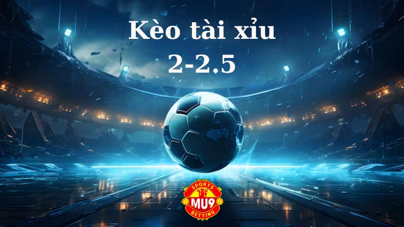 Kèo tài xỉu 2-2.5 là gì? Luật và mẹo chơi hiểu quả cho bet thủ tại Mu9 Sai lầm thường gặp khi chơi kèo tài xỉu 2-2.5